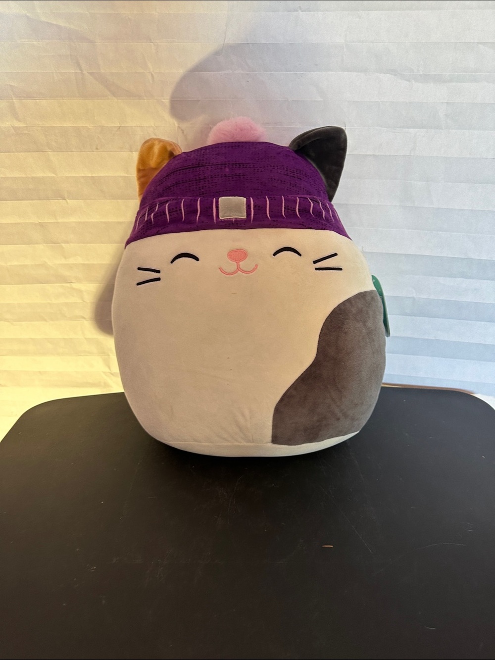 Squishmallow Cam the Cat Plush Cute Collectible Stuffed Animal